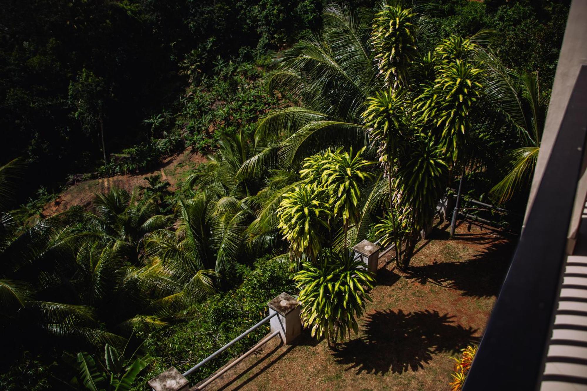 South Hill Villa Anse Royale Exterior foto